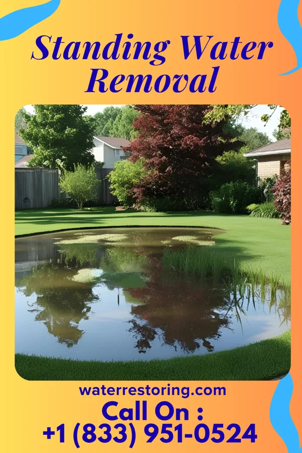 Standing Water Removal in Roseville, IL